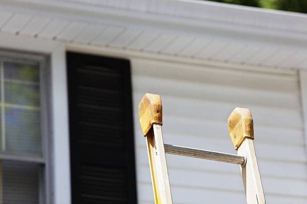 Affordable Siding Repair and Maintenance Services in Zephyrhills, FL